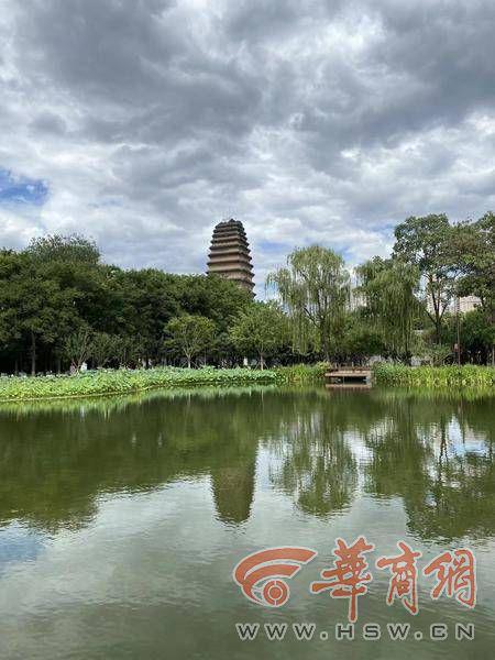 西安天空漫畫云與淡積云 專家稱學名是淡積云，揭示云之美妙的自然現象
